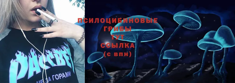 цена   Жуковка  Галлюциногенные грибы Magic Shrooms 